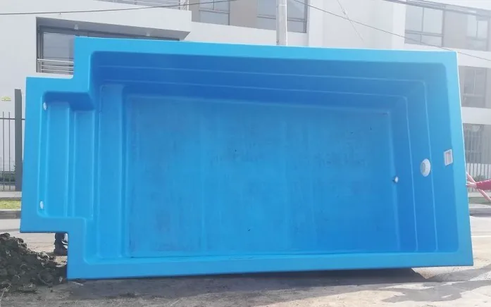 Piscina Riñón 5.50 × 3.0